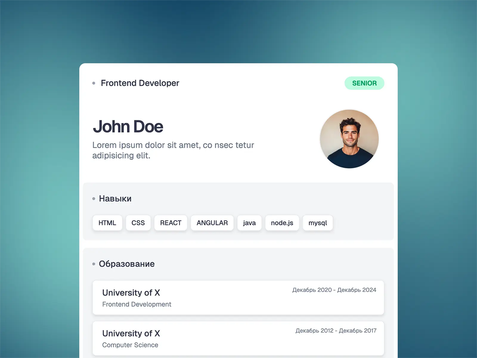 Шаблон резюме - 8